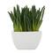 8" Green Foliage Artificial Plant with White Ceramic Pot